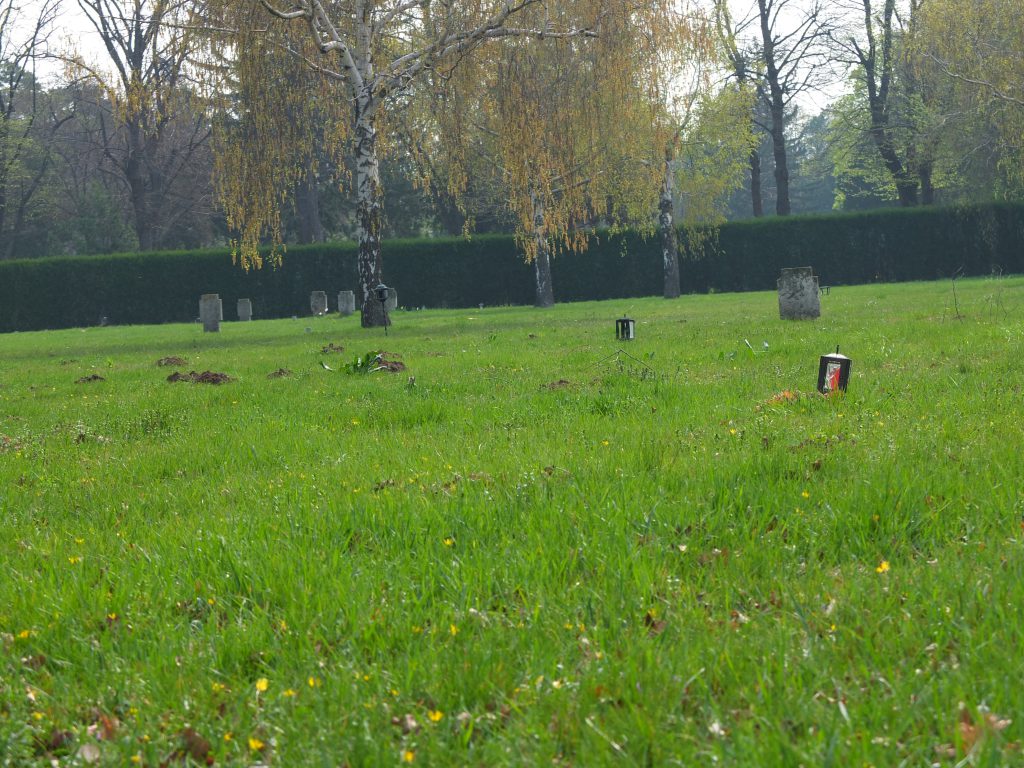 Wiese mit einem Grablicht in einer Laterne